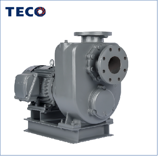 Bơm Tự Hút TECO GMP - KMP Self Priming